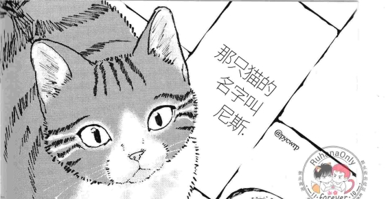 【韩漫试阅】那只猫的名字叫尼斯